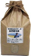 平田自然栽培米玄米