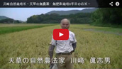 川﨑自然栽培米動画