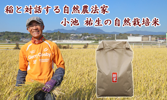 小池 祐生の自然栽培米