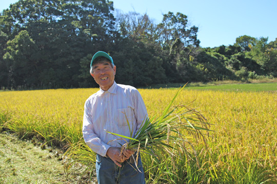 野の花米 山野自然栽培米の収穫