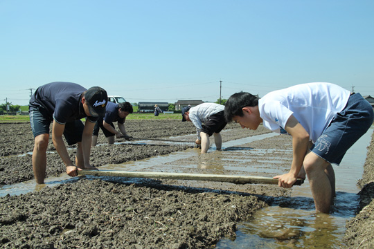 冨田自然栽培米の苗床作り