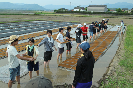 冨田自然栽培米の苗箱リレー方式で運ぶ