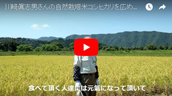 川﨑自然栽培米動画