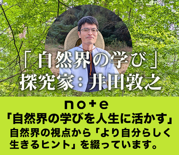 note「自然界の学び」