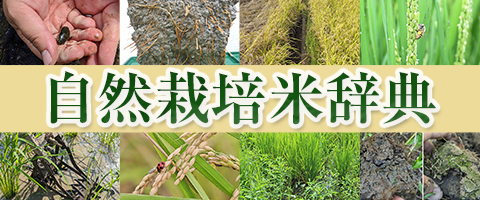 自然栽培米辞典