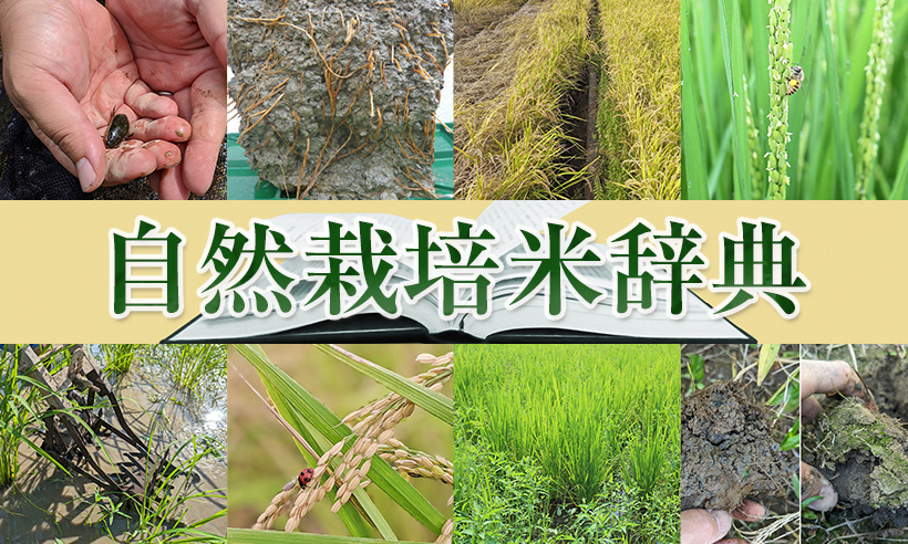 自然栽培米辞典