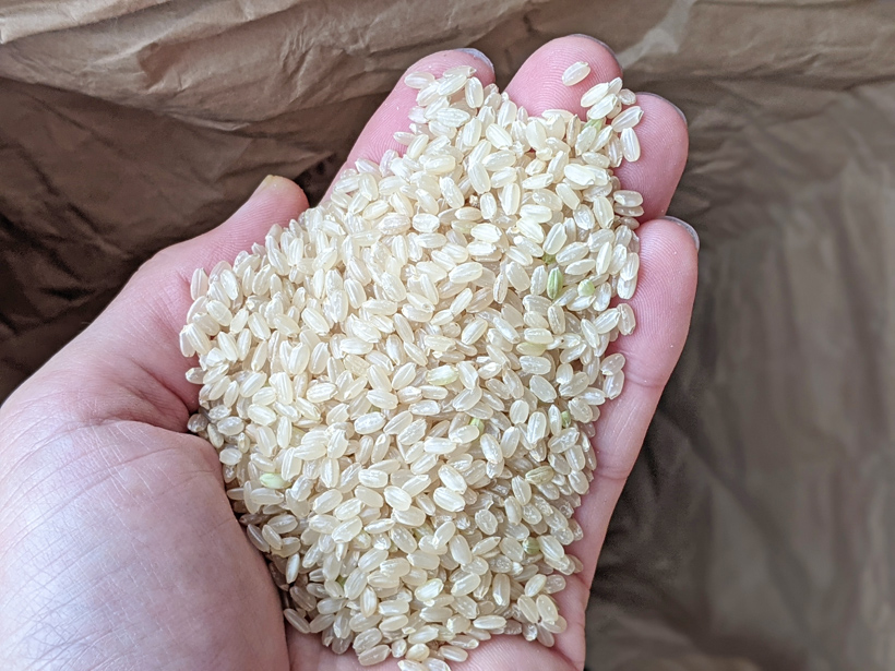 稲本自然栽培米玄米