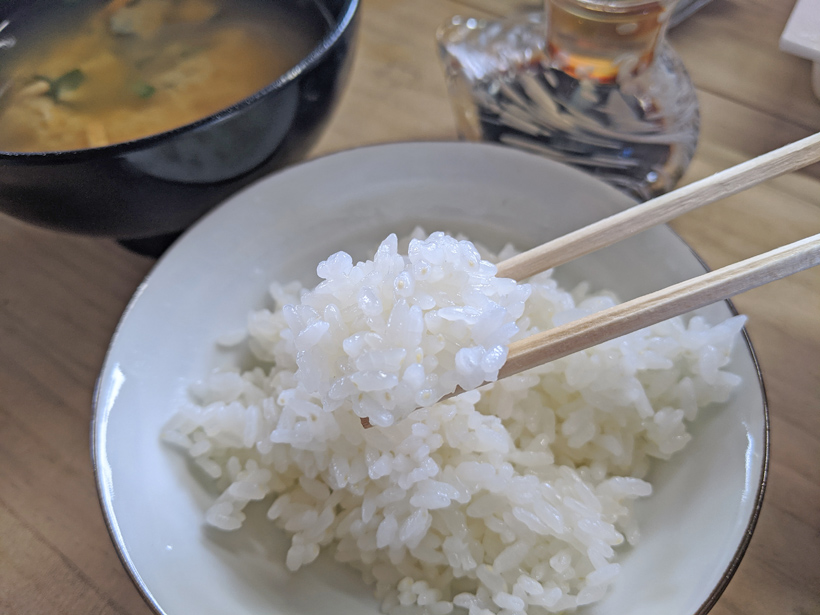 大柿自然栽培米炊き立てごはん