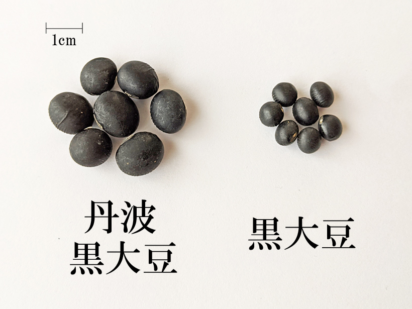 冨田自然栽培丹波の黒豆