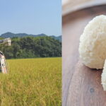 令和3年川﨑さんの自然栽培米作りがスタート｜3月にはプール育苗,4月には田植え