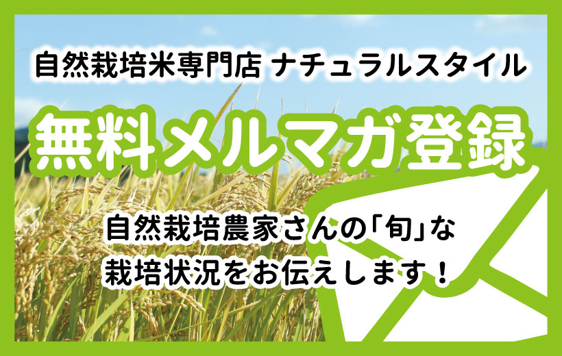 メルマガ登録はこちら