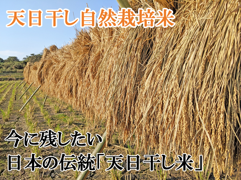 自然栽培 農薬化学肥料不使用 R4年度米 愛媛県産ヒノヒカリ 天日干し米