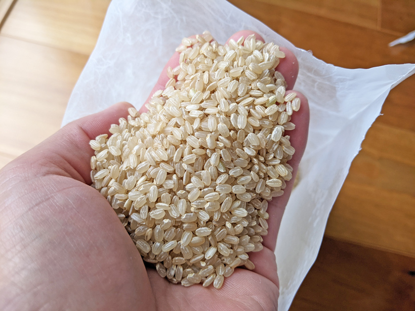 自然栽培玄米