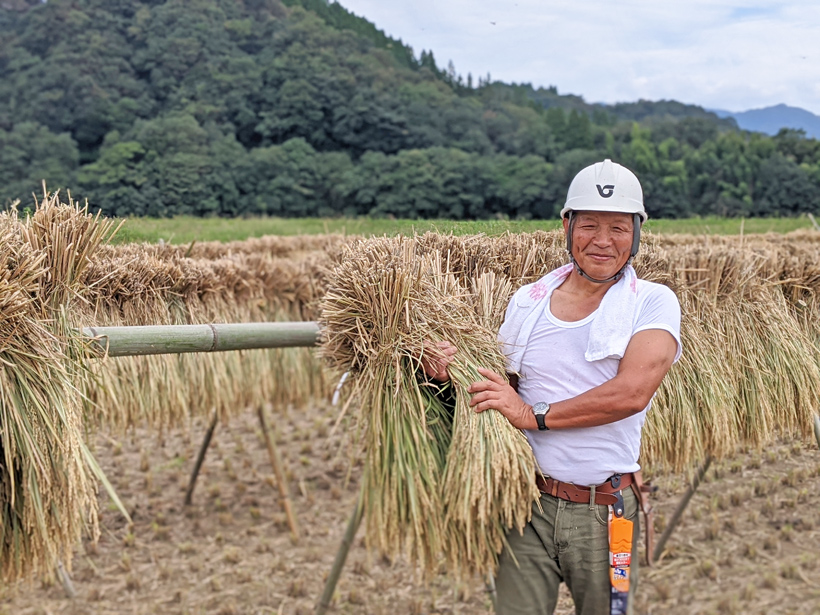 自然栽培米農家大柿長幸さんの天日干し