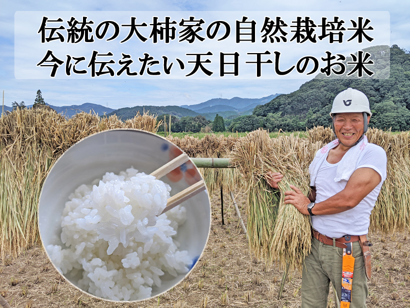 農家直送 自然栽培無農薬 玄米30kg 菊池米七城町栽培 - 米