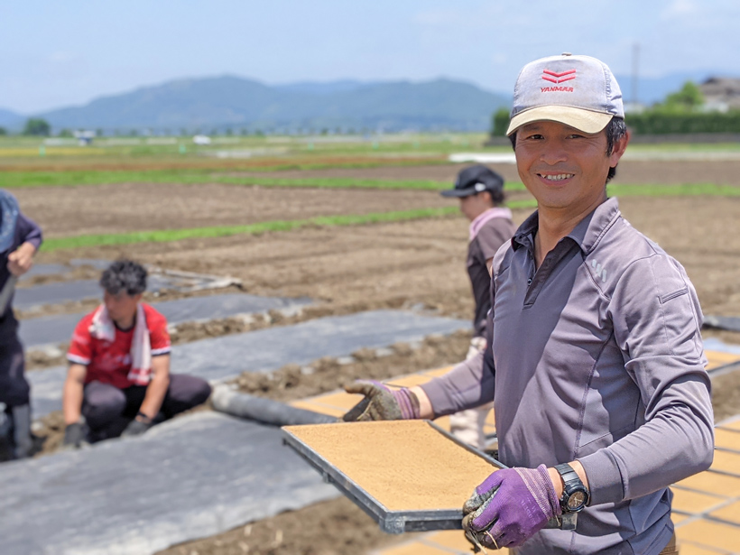 苗床作業で大事にしている2つのポイント｜冨田和孝の自然栽培米