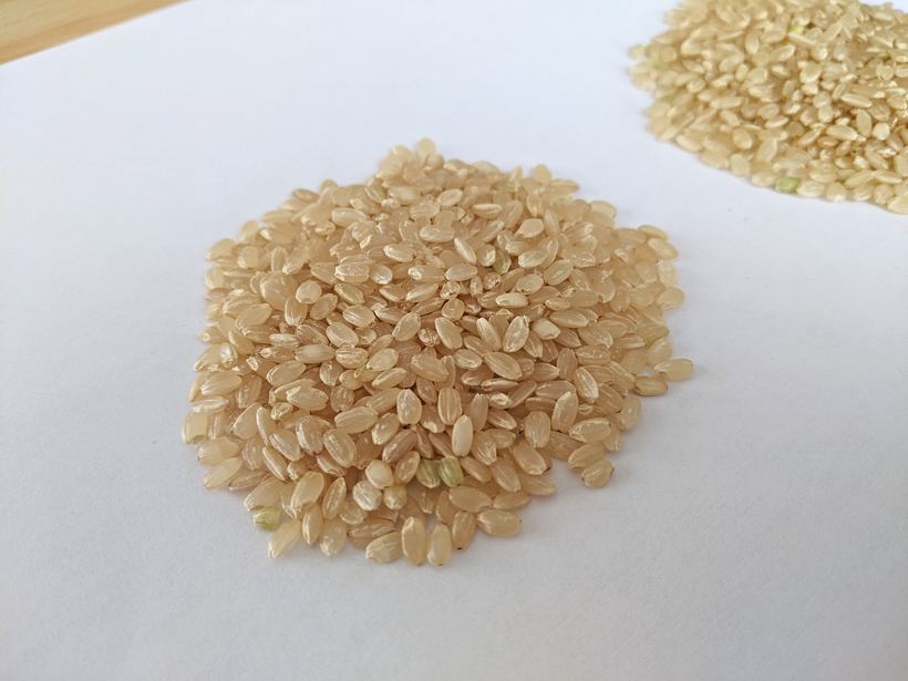 令和3年度自然栽培玄米
