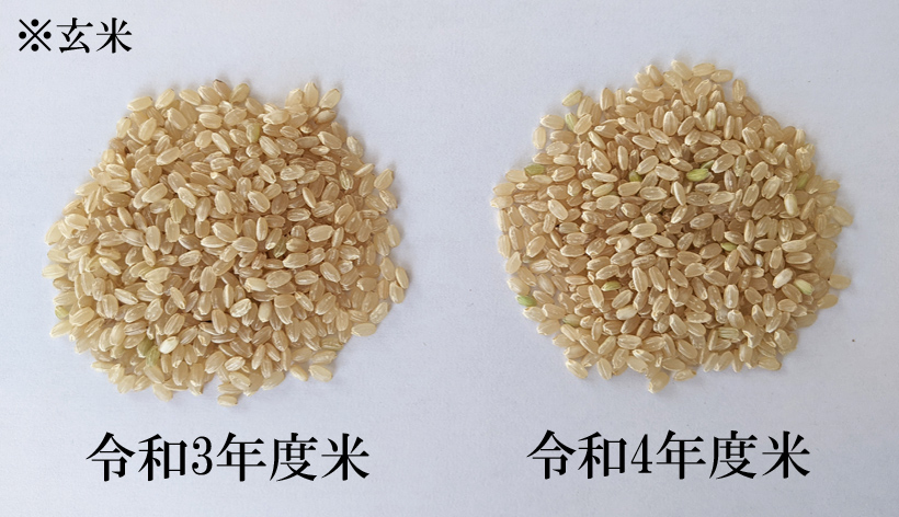 令和3年度米、令和4年度米玄米比較
