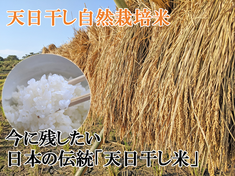 食品/飲料/酒自然栽培米 天日干し米にこまる10㌔ 愛媛県産 - 米/穀物