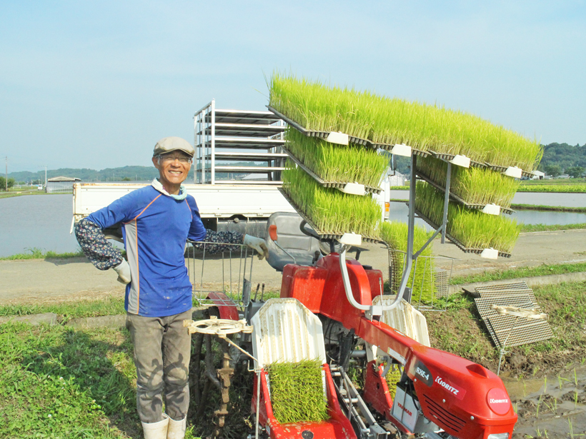 小池祐生さんの田植え