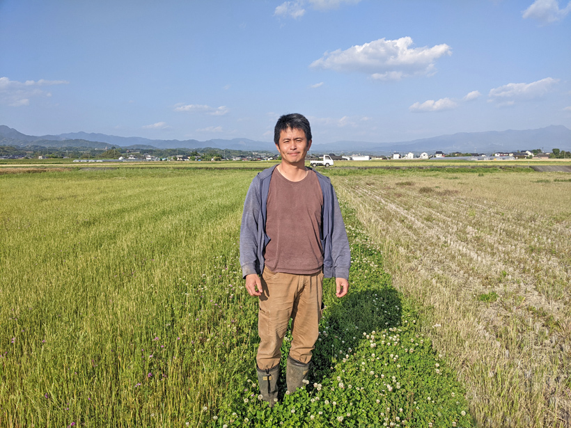 自然栽培米農家冨田和孝の田んぼの比較