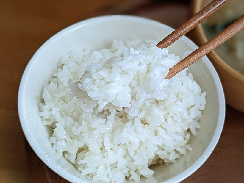 植田自然栽培米5分搗きご飯