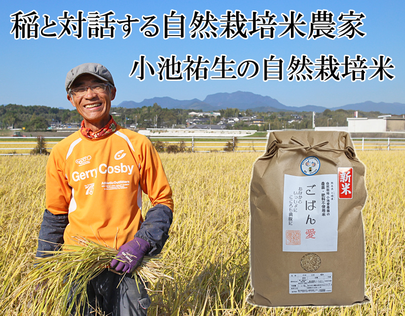 小池自然栽培米