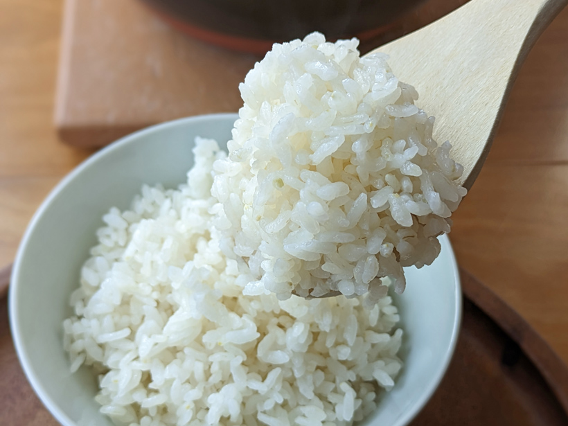 冨田自然栽培米のご飯