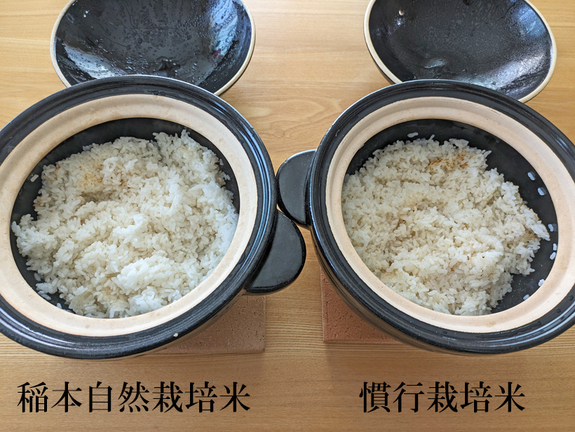 あきたこまちの食味比較 自然栽培米vs慣行栽培米