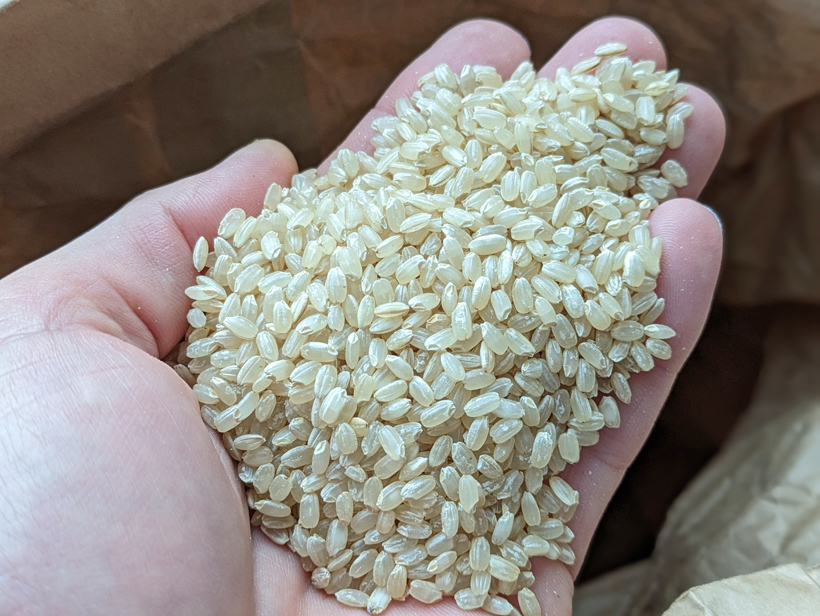 自然栽培米あきたこまちの玄米