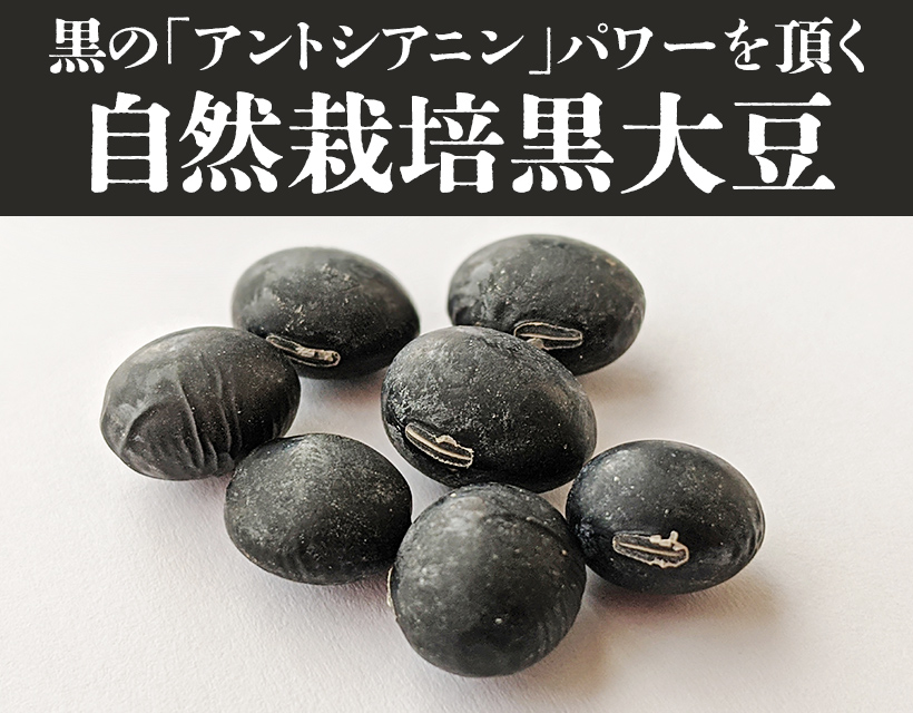 自然栽培黒大豆