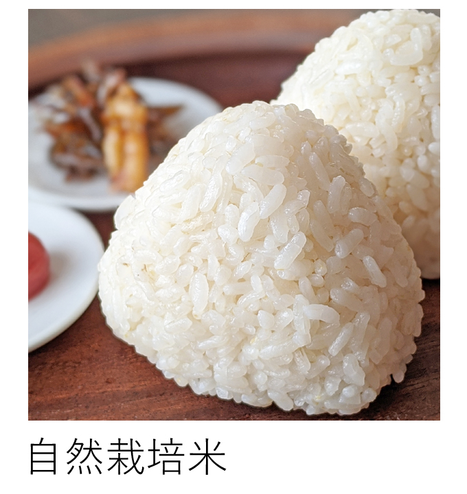 自然栽培米