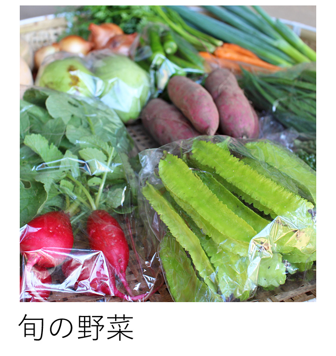 自然栽培野菜