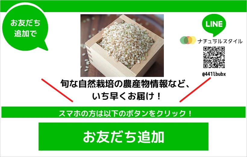 LINE登録はこちら