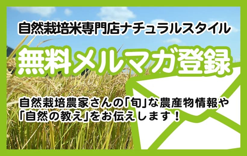 メルマガ登録はこちら