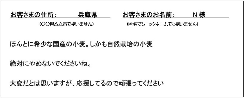 冨田自然栽培うどん感想
