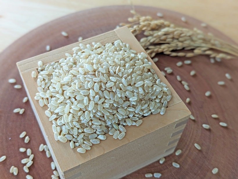 自然栽培米の玄米