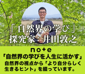 note井田敦之