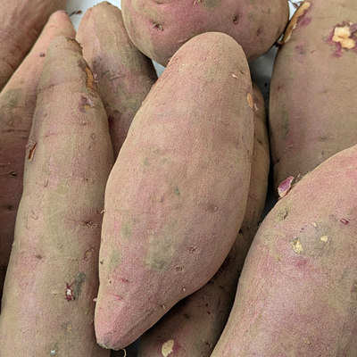 吉田自然栽培さつまいも