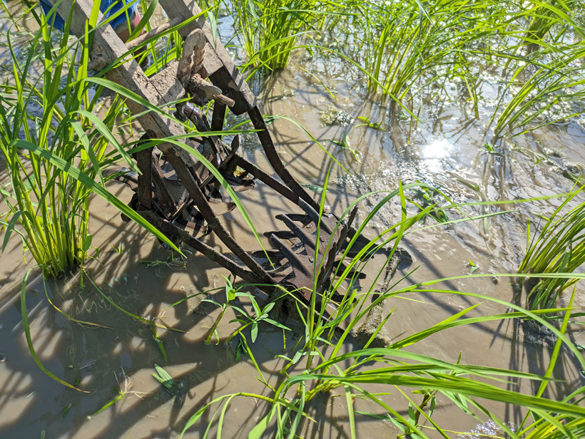 手押しの中耕除草機