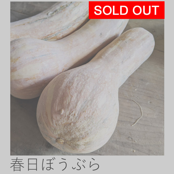 自然栽培春日ぼうぶら