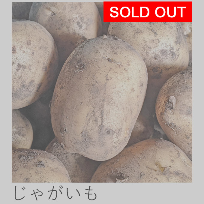 自然栽培じゃがいも