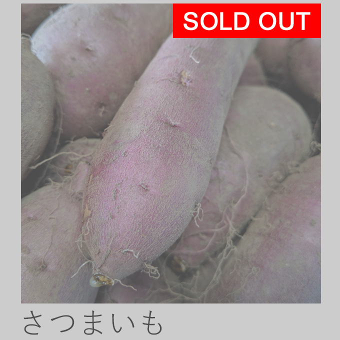 自然栽培さつまいも