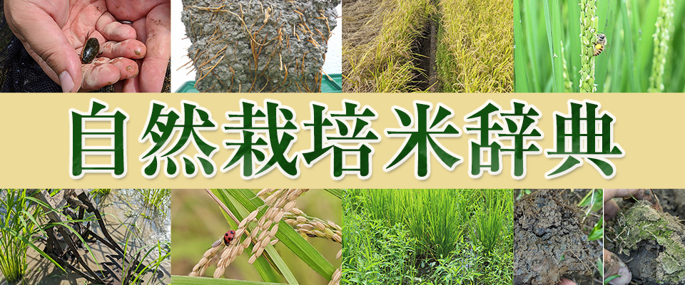 自然栽培米辞典