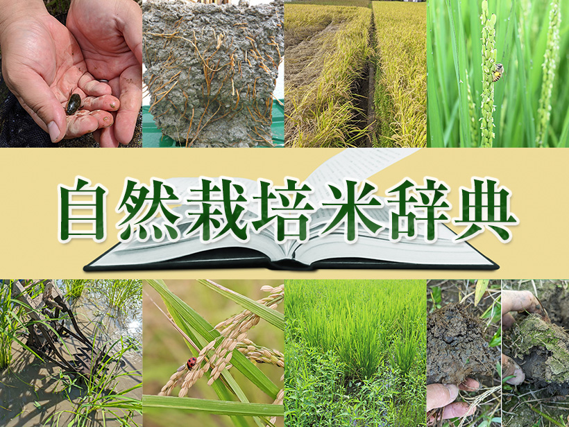自然栽培米辞典