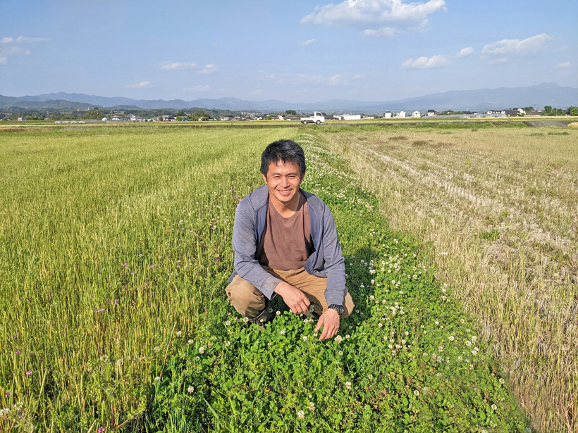 自然栽培歴1年目と6年目の春草の比較